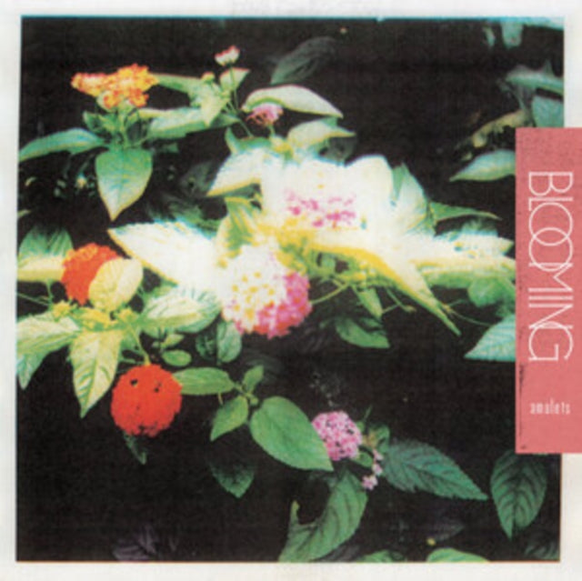 AMULETS | BLOOMING | VINYL RECORD (LP)