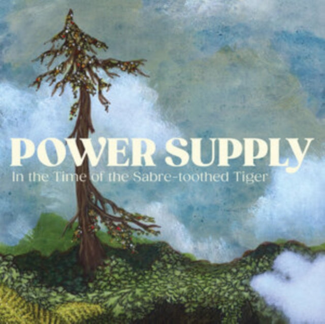 POWER SUPPLY | IN THE TIME OF THE SABRE-TOOTHED TIGER | VINYL RECORD (LP)