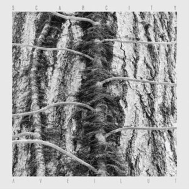 SCARCITY | AVEILUT | VINYL RECORD (LP)