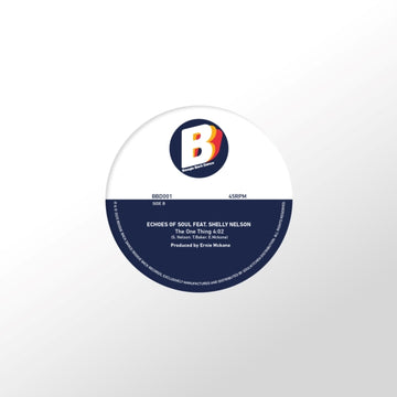 MY PEOPLE/ONE THING | 7IN VINYL