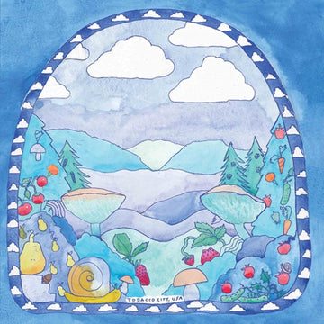 TOBACCO CITY | TOBACCO CITY, USA | VINYL RECORD (LP)