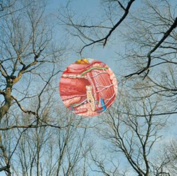 GLEAN (CLEAR W/ RED WHISPS VINYL) | VINYL RECORD (LP)