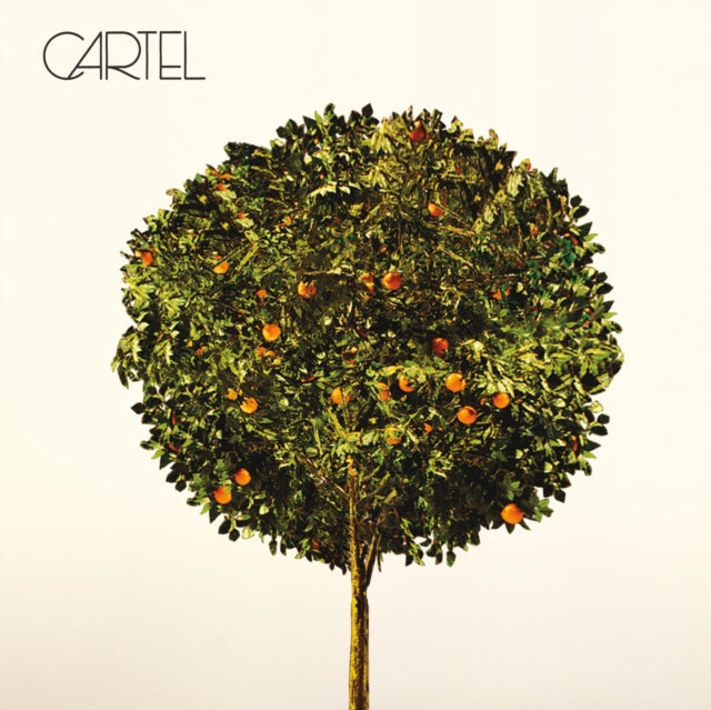CARTEL | CARTEL | VINYL RECORD (LP)