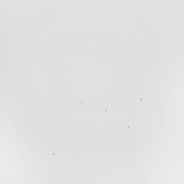 ANDERSON-KUNERT, TODD | CONJECTURES | VINYL RECORD (LP)