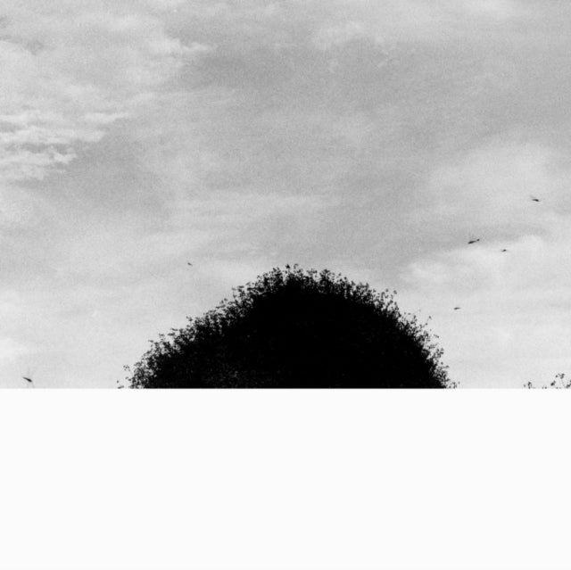 HATAKEYAMA, CHIHEI | FORGOTTEN HILL | VINYL RECORD (LP)