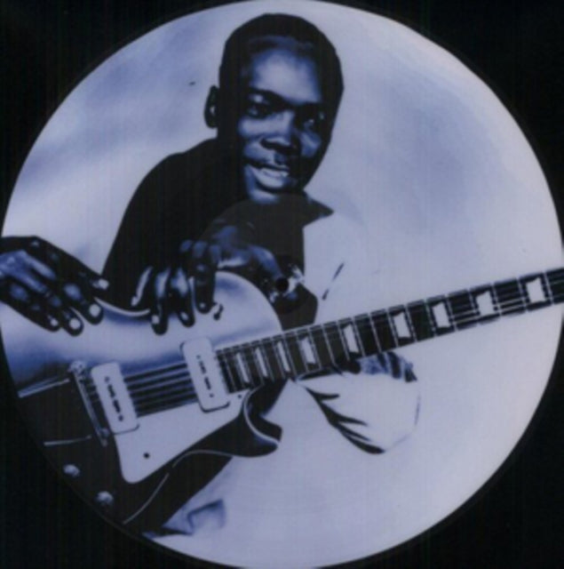 HOOKER, JOHN LEE | ELECTRIC BLUES (PIC) | VINYL RECORD (LP)
