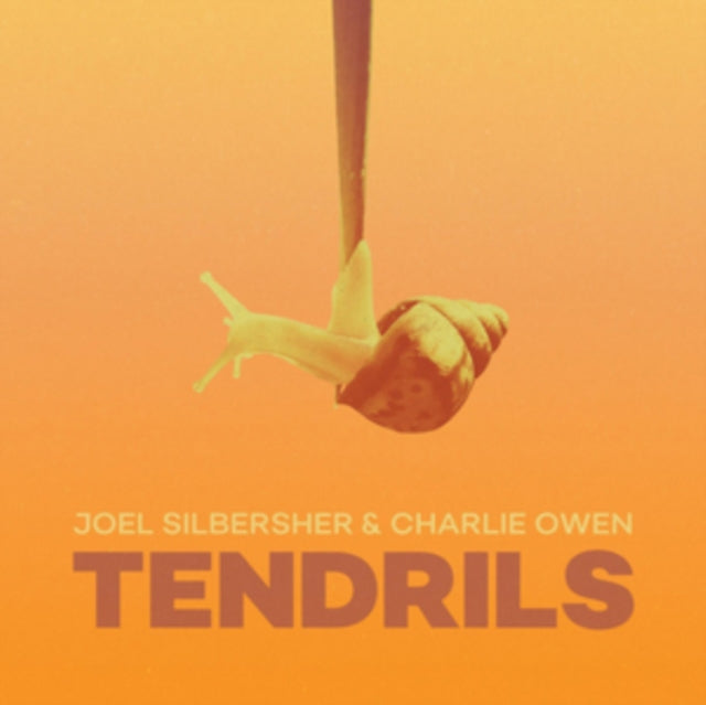 JOEL SILBERSHER & CH | TENDRILS | VINYL RECORD (LP)