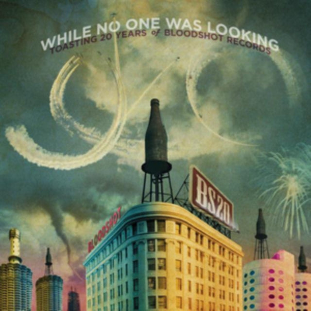 VARIOUS ARTISTS | WHILE NO ONE WAS LOOKING: TOASTING 20 YEARS / VAR | VINYL RECORD (LP)