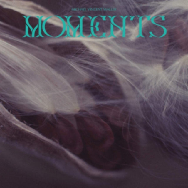 WALLER, MICHAEL VINCENT | MOMENTS | VINYL RECORD (LP)