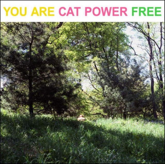 CAT POWER | YOU ARE FREE | VINYL RECORD (LP)