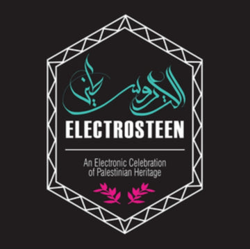 VARIOUS ARTISTS | ELECTROSTEEN | VINYL RECORD (LP)