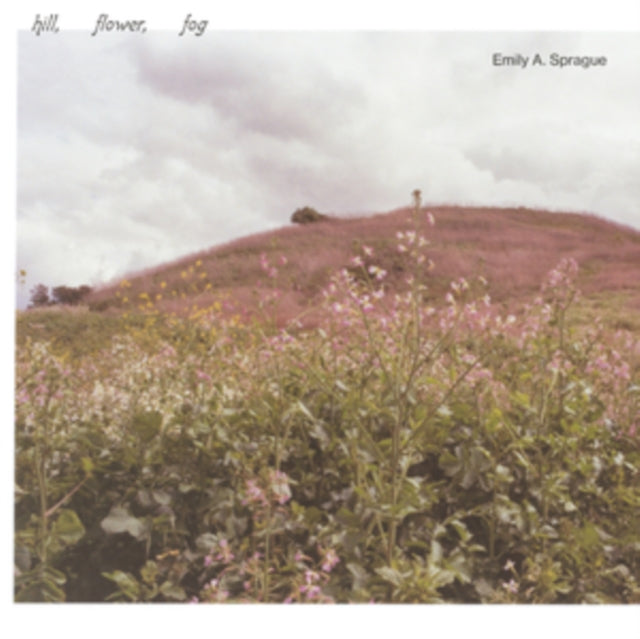SPRAGUE, EMILY A. | HILL, FLOWER, FOG | VINYL RECORD (LP)