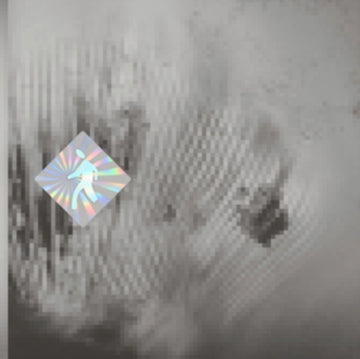DISCOVERY ZONE | QUANTUM WEB | VINYL RECORD (LP)