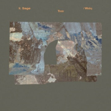 TENDER / WADING | VINYL RECORD (LP)