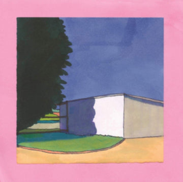 DUMB THINGS | TIME AGAIN | VINYL RECORD (LP)