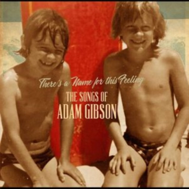 GIBSON, ADAM | SONGS OF ADAM GIBSON (2LP) | VINYL RECORD (LP)