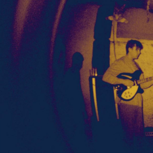 REAL NUMBERS | WORDLESS WONDER | VINYL RECORD (LP)