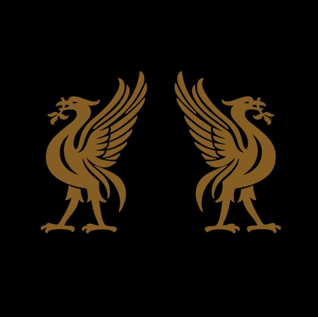 SNODGRASS, JON & CAPE, JOEY | LIVERBIRDS | VINYL RECORD (LP)