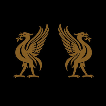SNODGRASS, JON & CAPE, JOEY | LIVERBIRDS | VINYL RECORD (LP)
