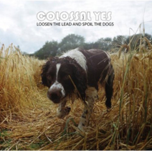 COLOSSAL YES | LOOSEN THE LEAD & SPOIL THE DOGS | VINYL RECORD (LP)