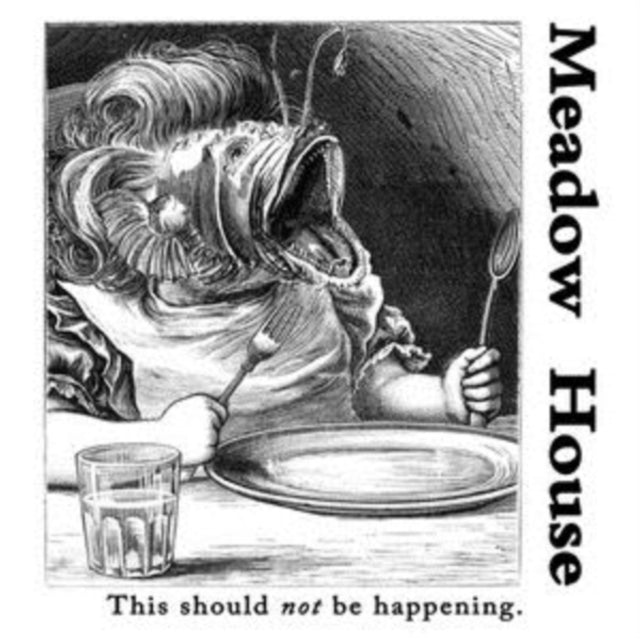 MEADOW HOUSE | THIS SHOULD NOT BE HAPPENING | VINYL RECORD (LP)