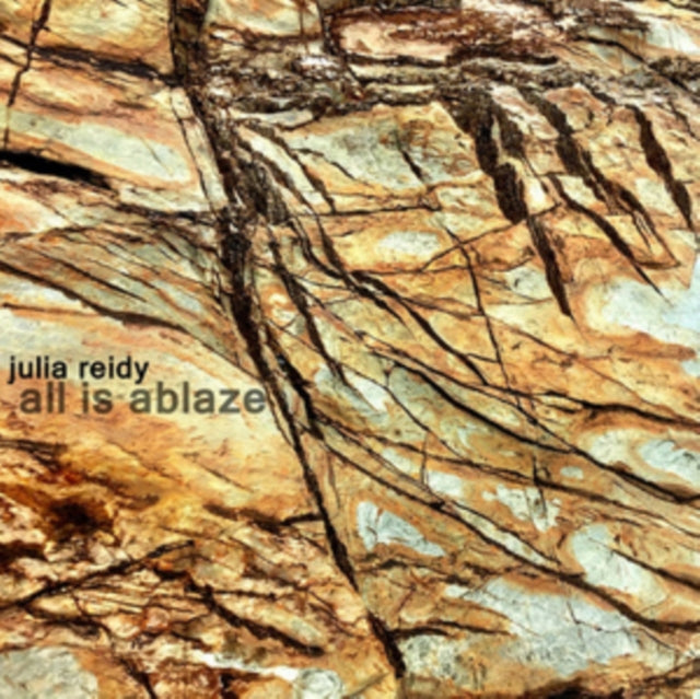 REIDY, JULIA | ALL IS ABLAZE | VINYL RECORD (LP)