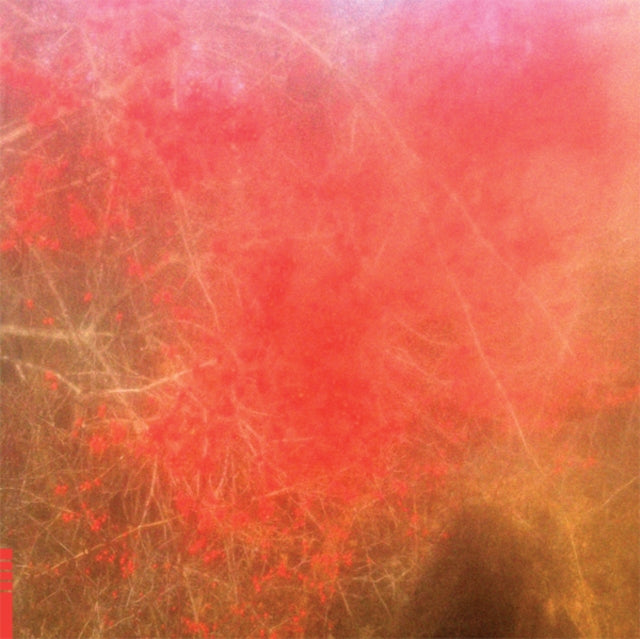 FOOM & FOAM | FOOM & FOAM | VINYL RECORD (LP)