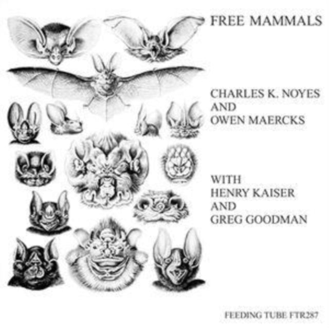K. NOYES, CHARLES & OWEN MAERCKS WITH HENRY KAISER & GREG GOODMAN | FREE MAMMALS | VINYL RECORD (LP)