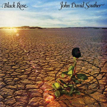 BLACK ROSE (2LP/180G/45RPM) | VINYL RECORD (LP)
