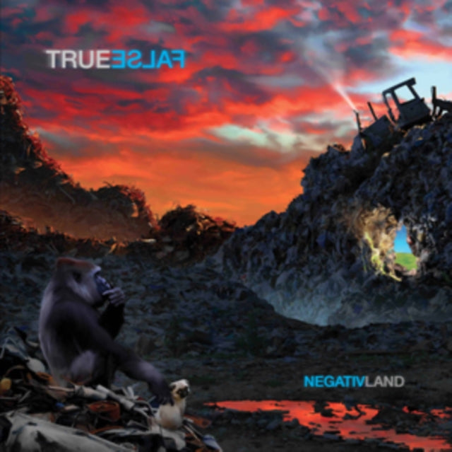 NEGATIVLAND | TRUE FALSE | VINYL RECORD (LP)