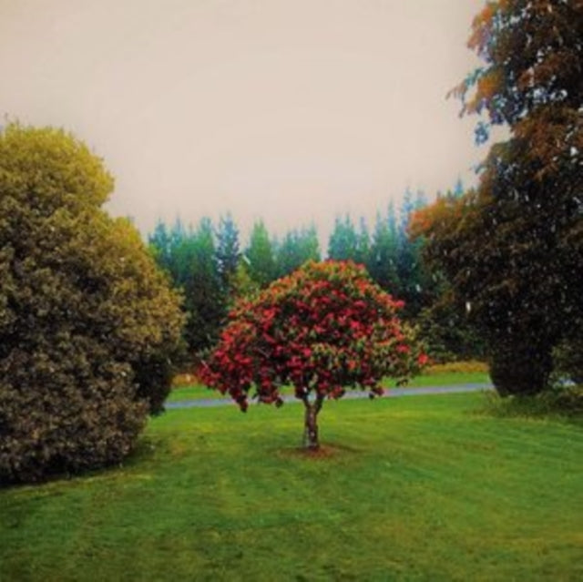 BATS | FOOTHILLS | VINYL RECORD (LP)