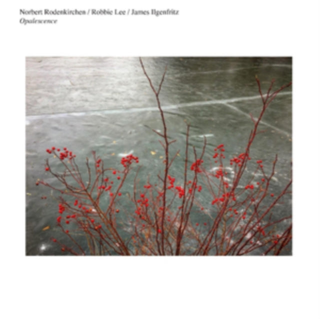 RODENKIRCHEN, NORBERT; ROBBIE LEE; JAMES ILGENFRITZ | OPALESCENCE (DL CODE) | VINYL RECORD (LP)