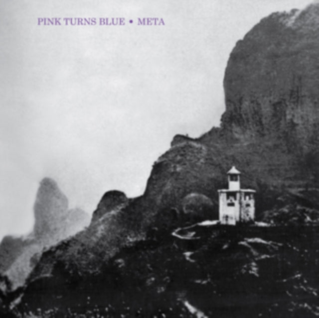 PINK TURNS BLUE | META (REISSUE) | VINYL RECORD (LP)