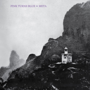 PINK TURNS BLUE | META (REISSUE) | VINYL RECORD (LP)