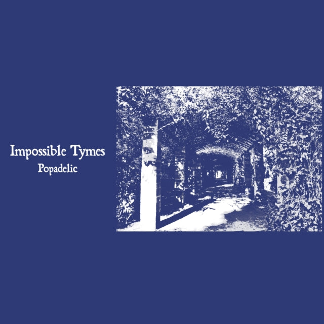 IMPOSSIBLE TYMES | POPADELIC | VINYL RECORD (LP)