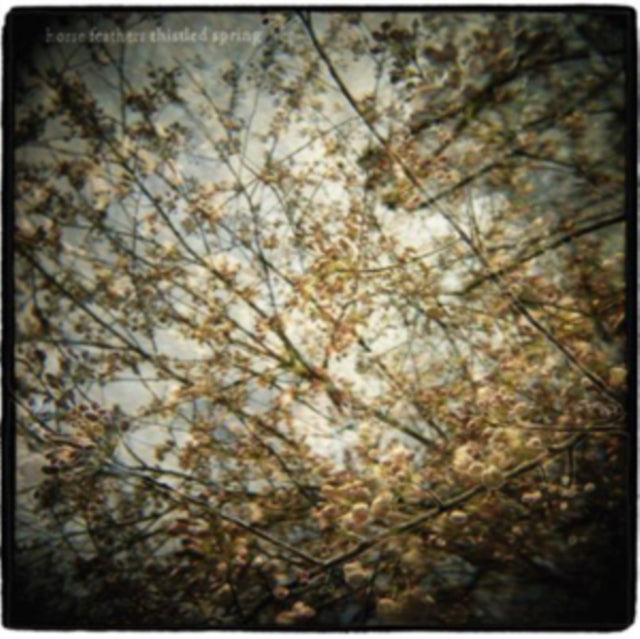 HORSE FEATHERS | THISTLED SPRING | VINYL RECORD (LP)