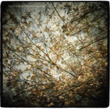 HORSE FEATHERS | THISTLED SPRING | VINYL RECORD (LP)