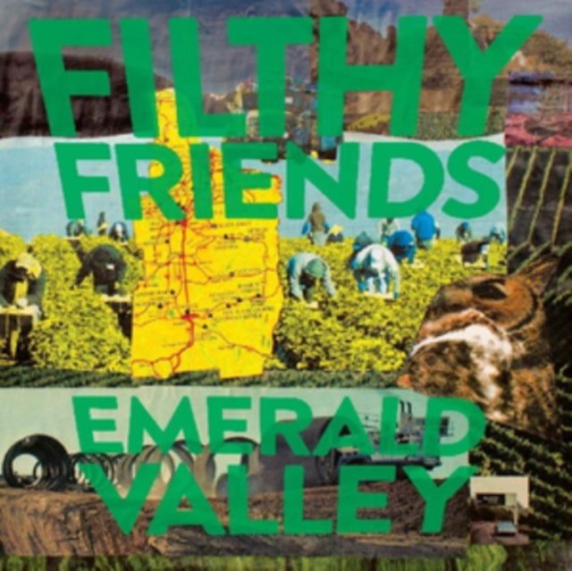 FILTHY FRIENDS | EMERALD VALLEY (DL) | VINYL RECORD (LP)