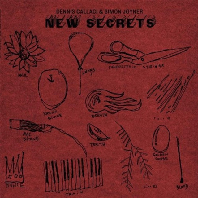 JOYNER, SIMON | NEW SECRETS | VINYL RECORD (LP)
