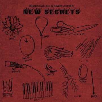 JOYNER, SIMON | NEW SECRETS | VINYL RECORD (LP)
