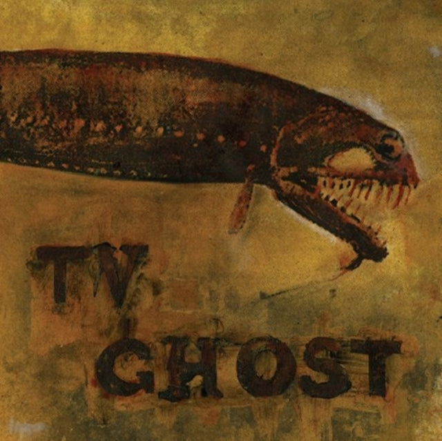 TV GHOST | COLD FISH | VINYL RECORD (LP)