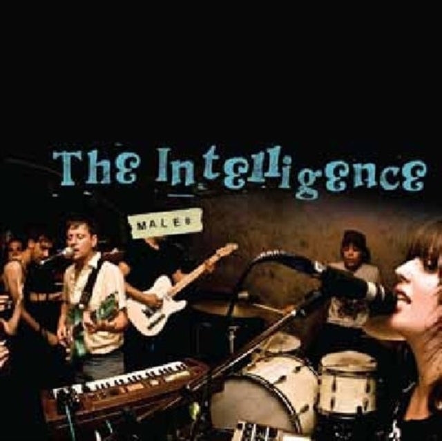 INTELLIGENCE | MALES | VINYL RECORD (LP)