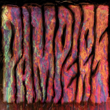 PAMPERS | S/T | VINYL RECORD (LP)
