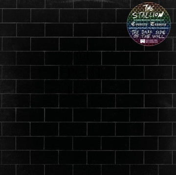 STALLION | DARK SIDE OF WALL | VINYL RECORD (LP)