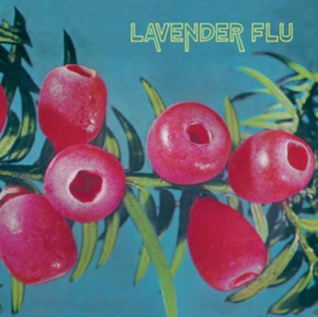 LAVENDER FLU | MOW THE GLASS | VINYL RECORD (LP)