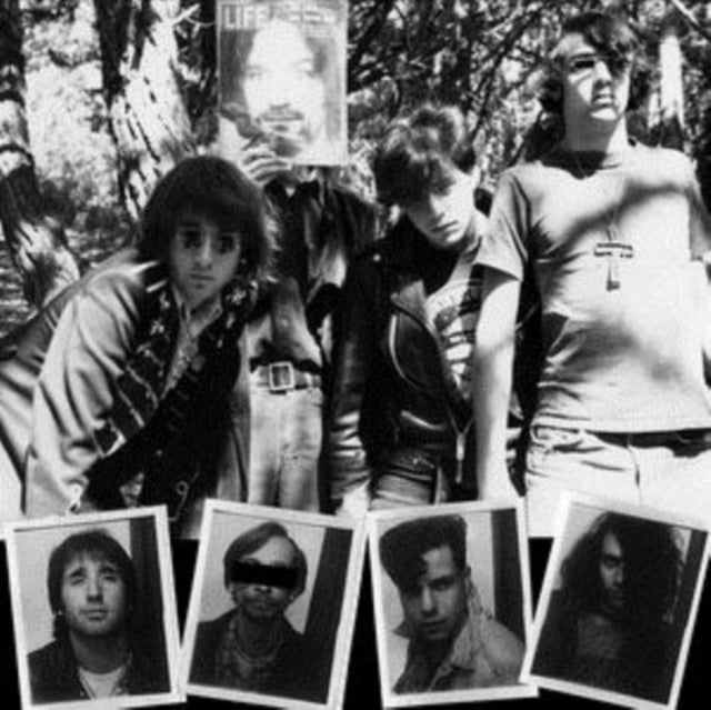 DWARVES | LICK IT 1983-86 (GATEFOLD/LIMITED) | VINYL RECORD (LP)