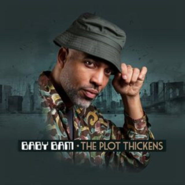 BABY BAM | PLOT THICKENS | VINYL RECORD (LP)