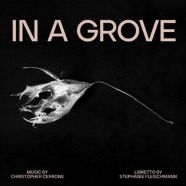 CERRONE, CHRISTOPHER | IN A GROVE | CD