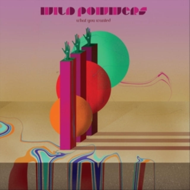 WILD POWWERS | WHAT YOU WANTED | VINYL RECORD (LP)