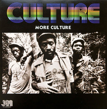 MORE CULTURE | VINYL RECORD (LP)